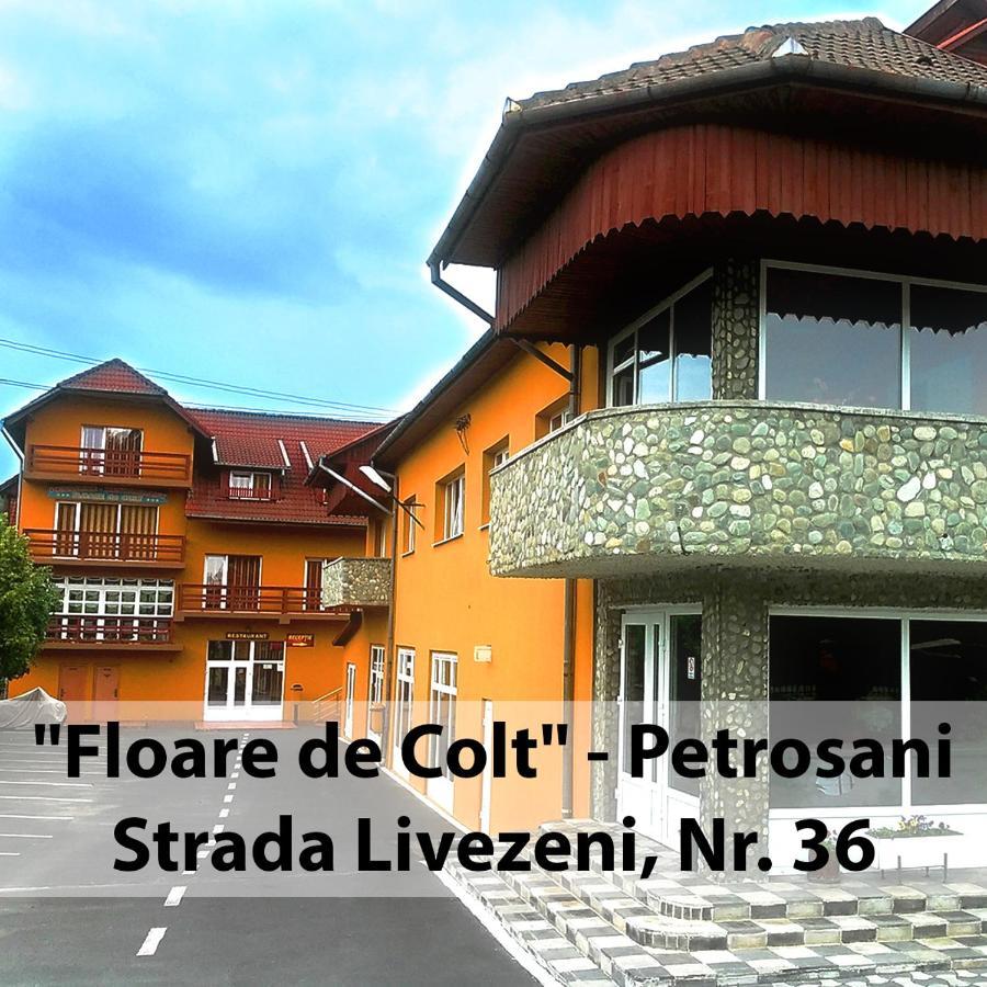 מלון Floare De Colt Petroşani מראה חיצוני תמונה